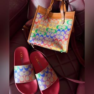 Rainbow coach bag and slides